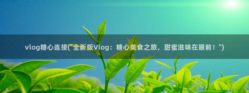 糖心vlog传媒作品：vlog糖心连接(\