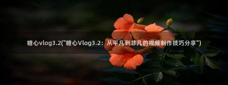 糖心vlog吾爱：糖心vlog3.2(\