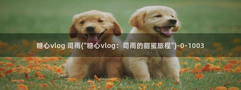 糖心vlog黄a：糖心vlog 司雨(\
