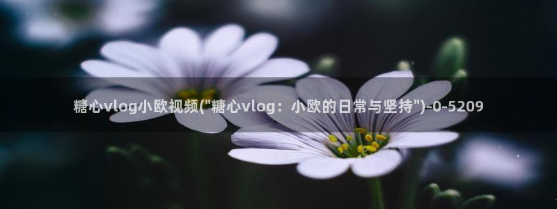 糖心vlog女模特：糖心vlog小欧视频(\