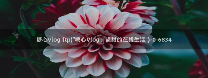 糖心vlog开车视频