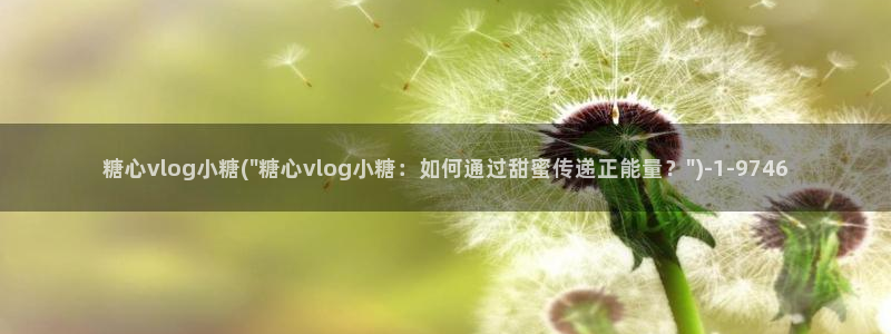 糖心vlog 包子：糖心vlog小糖(\