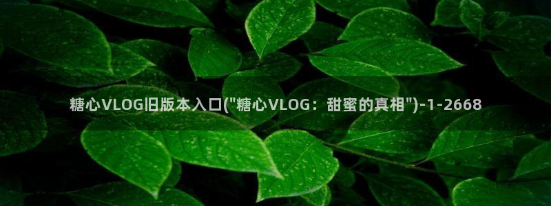 糖心vlog入口在哪：糖心VLOG旧版本入口(\