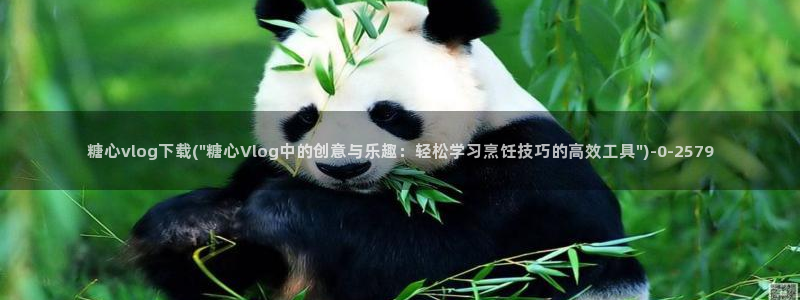 溏心糖心vlog：糖心vlog下载(\