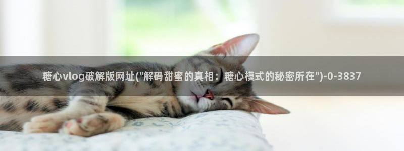 糖心vlog在线观看免费：糖心vlog破解版网址(\