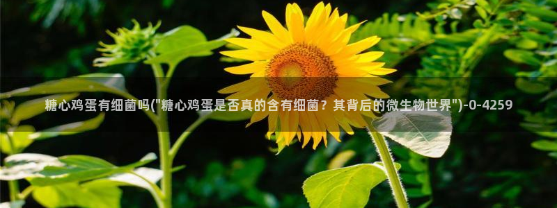 桥本香菜糖心vlog销售的秘诀：糖心鸡蛋有细菌吗(\